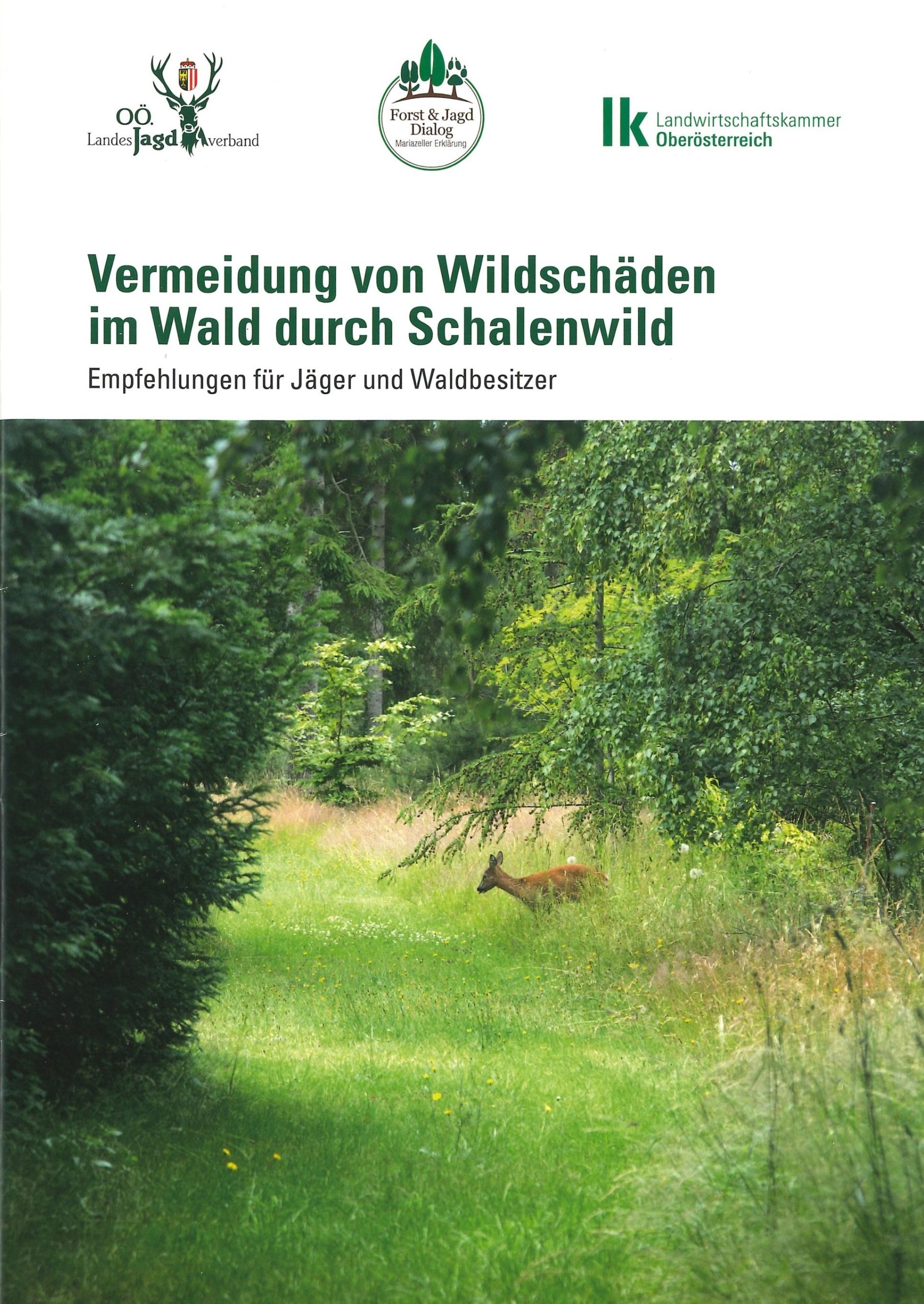 Vermeidung von Wildschäden im Wald durch Schalenwild OÖ LJV